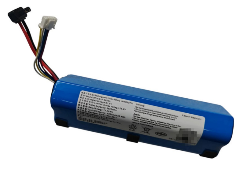 BP6S1P13005D