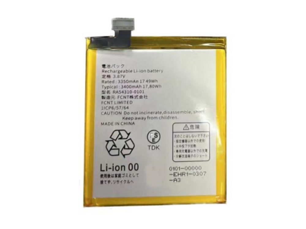 RA54310-0101